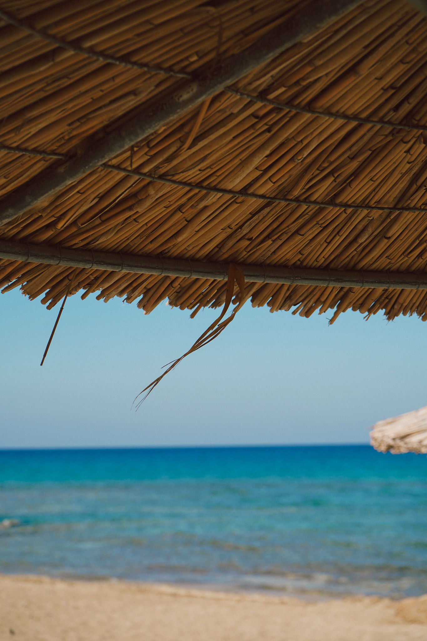 Beachfront tables at golden hour