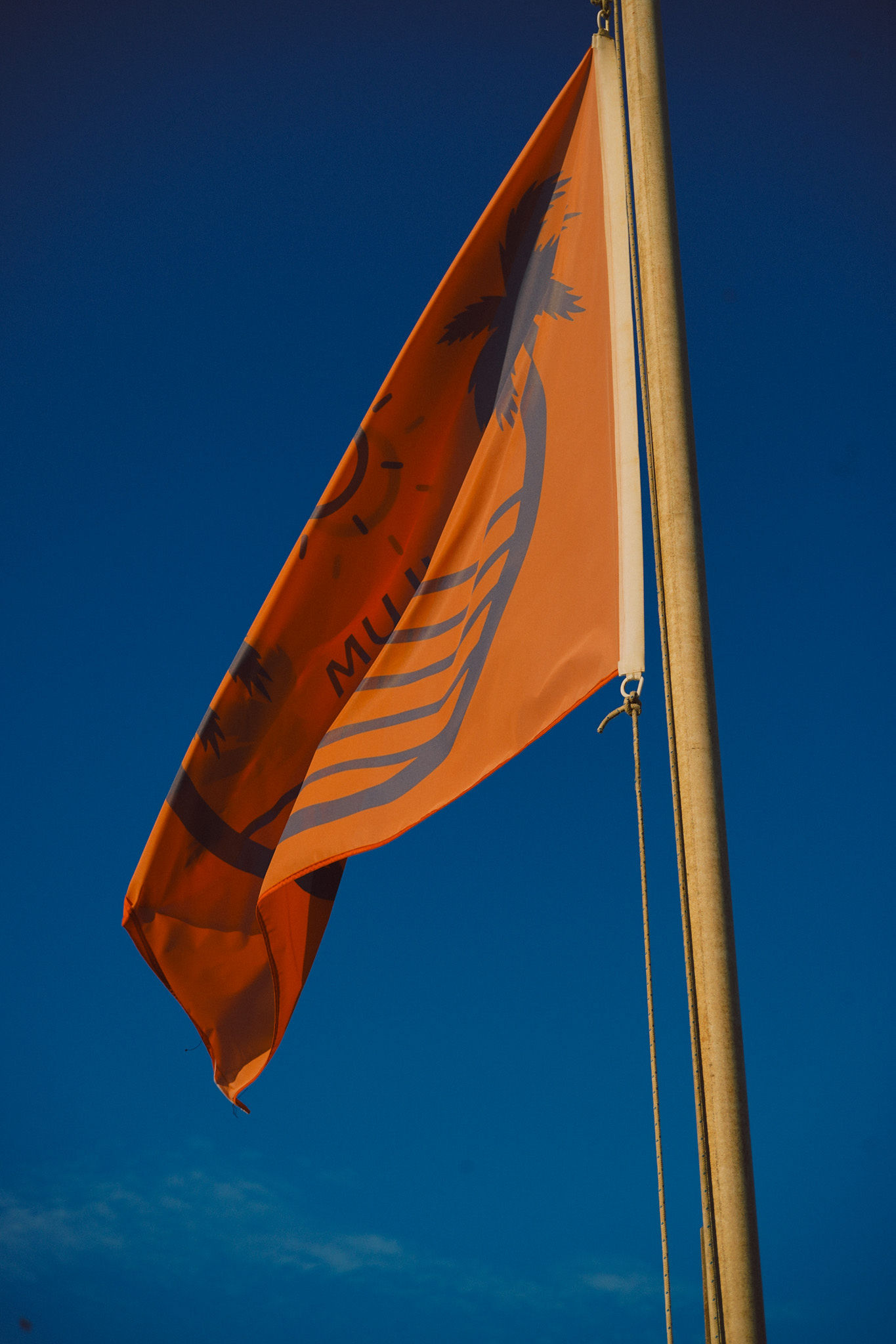 Friends celebrating at Tulum