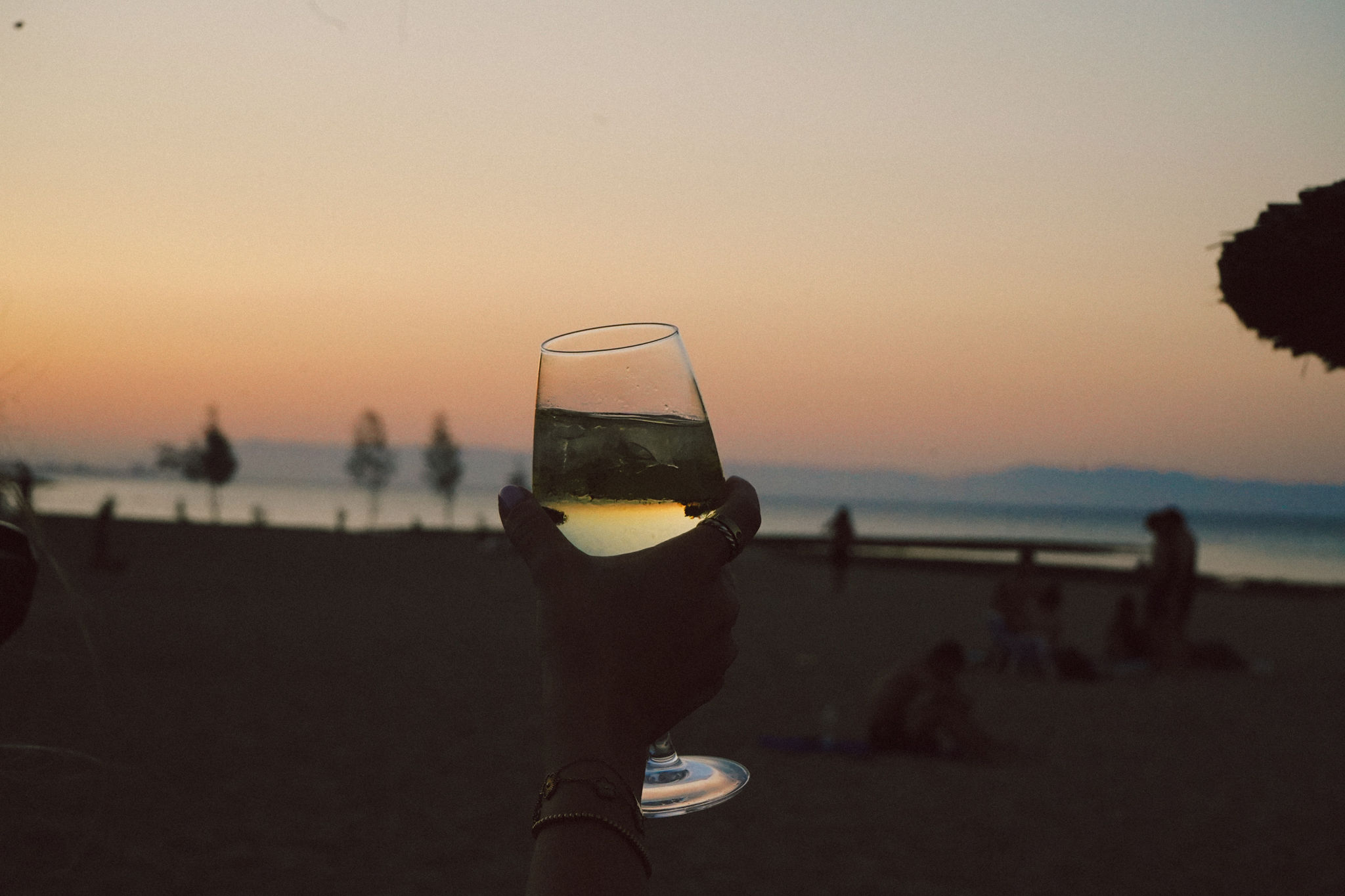 Glass raised to a pastel sunset